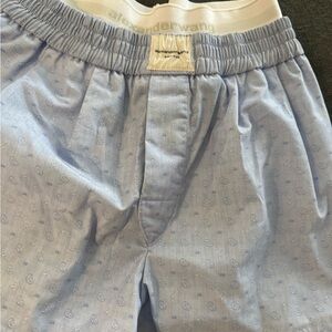 Alexander Wang Sky Blue Casual Shorts